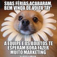 SUAS FÉRIAS ACABARAM, BEM VINDA DE VOLTA TAY* A EQUIPE E OS BOLETOS TE ESPERAM BORA FAZER MUITO MARKETING
