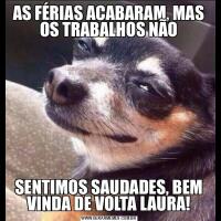 AS FÉRIAS ACABARAM, MAS OS TRABALHOS NÃOSENTIMOS SAUDADES, BEM VINDA DE VOLTA LAURA!