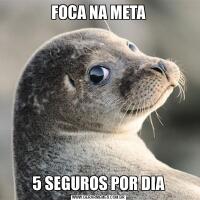 FOCA NA META5 SEGUROS POR DIA