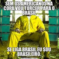 SEM OS AMERICANOS NA COPA,VOU TORCER PARA O BRASILSE LIGA BRASIL,EU SOU BRASILEIRO.