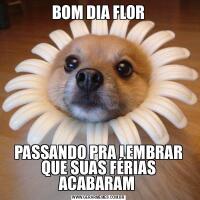 BOM DIA FLORPASSANDO PRA LEMBRAR QUE SUAS FÉRIAS ACABARAM 