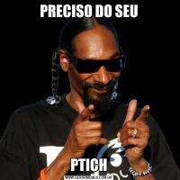 PRECISO DO SEUPTICH