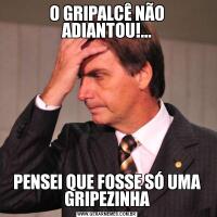 O GRIPALCÊ NÃO ADIANTOU!...PENSEI QUE FOSSE SÓ UMA GRIPEZINHA