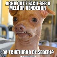 ACHA QUE É FÁCIL SER O MELHOR VENDEDOR DA TCHÊTURBO DE SEBERI?