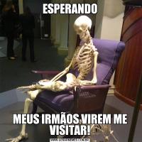 ESPERANDOMEUS IRMÃOS VIREM ME VISITAR!