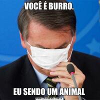 VOCÊ É BURRO.EU SENDO UM ANIMAL