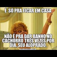 É  SÓ PRA FICAR EM CASANÃO É PRA DAR BANHO NO CACHORRO TRÊS VEZES POR DIA, SEU ALOPRADO.