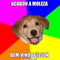 ACABOU A MOLEZABEM-VINDO GILSON