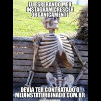 EU ESPERANDO MEU INSTAGRAM CRESCER ORGANICAMENTEDEVIA TER CONTRATADO O MEUINSTATURBINADO.COM.BR