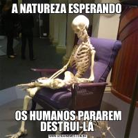 A NATUREZA ESPERANDO OS HUMANOS PARAREM DESTRUI-LÁ 