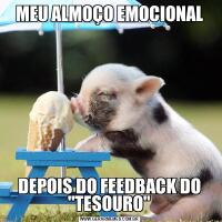 MEU ALMOÇO EMOCIONALDEPOIS DO FEEDBACK DO "TESOURO"