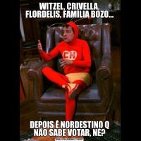 WITZEL, CRIVELLA, FLORDELIS, FAMÍLIA BOZO...DEPOIS É NORDESTINO Q NÃO SABE VOTAR, NÉ?