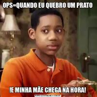 OPS=QUANDO EU QUEBRO UM PRATO!E MINHA MÃE CHEGA NA HORA!