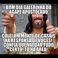 BOM DIA GALERINHA DO ÁGAPE APOSTOLADOCOLEI UM MONTE DE CASAIS NA RESPONSA DE VOCÊS! CONFIA QUE VAI DAR TUDO CERTO! TÔ NA ÁREA!