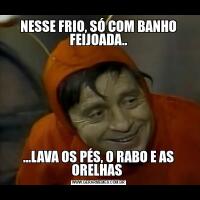 NESSE FRIO, SÓ COM BANHO FEIJOADA.....LAVA OS PÉS, O RABO E AS ORELHAS 