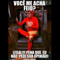 VOCÊ ME ACHA FEIO?LEGAL!!! PENA QUE  EU NÃO  PEDI SUA OPINIÃO!