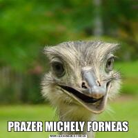 PRAZER MICHELY FORNEAS