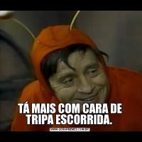 TÁ MAIS COM CARA DE TRIPA ESCORRIDA. 