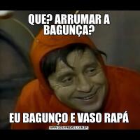 QUE? ARRUMAR A BAGUNÇA?EU BAGUNÇO E VASO RAPÁ