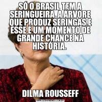 SÓ O BRASIL TEM A SERINGUEIRA, A ÁRVORE QUE PRODUZ SERINGAS.E ESSE É UM MOMENTO DE GRANDE CHANCE NA HISTÓRIA. DILMA ROUSSEFF
