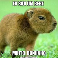 EU SOU UM BEBE  MUITO  BONIINHO