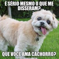 É SÉRIO MESMO O QUE ME DISSERAM?QUE VOCÊ AMA CACHORRO?