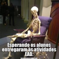 Esperando os alunos entregaram às atividades EAD.