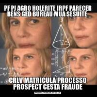 PF PJ AGRO HOLERITE IRPF PARECER BENS GED BUREAU MUA SESUITE CRLV MATRICULA PROCESSO PROSPECT CESTA FRAUDE