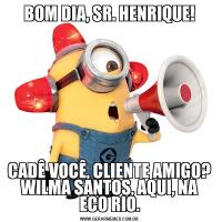 BOM DIA, SR. HENRIQUE!CADÊ VOCÊ, CLIENTE AMIGO? WILMA SANTOS, AQUI, NA ECO RIO.