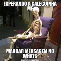 ESPERANDO A GALEGUINHA MEMANDAR MENSAGEM NO WHATS