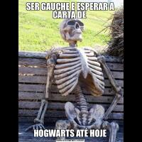 SER GAUCHE E ESPERAR A CARTA DE HOGWARTS ATÉ HOJE