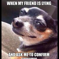 WHEN MY FRIEND IS LYINGAND ASK ME TO CONFIRM