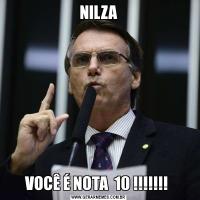 NILZAVOCÊ É NOTA  10 !!!!!!! 