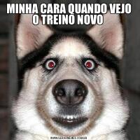 MINHA CARA QUANDO VEJO O TREINO NOVO 