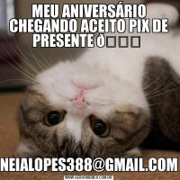 MEU ANIVERSÁRIO CHEGANDO ACEITO PIX DE PRESENTE NEIALOPES388@GMAIL.COM