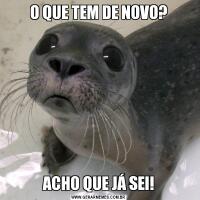 O QUE TEM DE NOVO?ACHO QUE JÁ SEI!