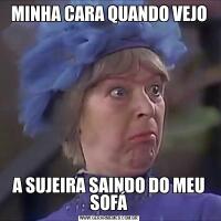 MINHA CARA QUANDO VEJOA SUJEIRA SAINDO DO MEU SOFÁ