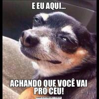 E EU AQUI...ACHANDO QUE VOCÊ VAI PRO CÉU!