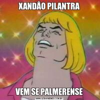 XANDÂO PILANTRAVEM SE PALMERENSE