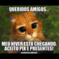 QUERIDOS AMIGOS...MEU NIVER ESTÁ CHEGANDO, ACEITO PIX E PRESENTES!