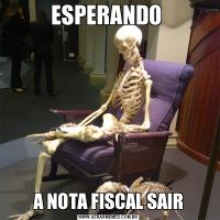 ESPERANDO A NOTA FISCAL SAIR