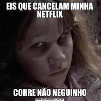 EIS QUE CANCELAM MINHA NETFLIXCORRE NÃO NEGUINHO