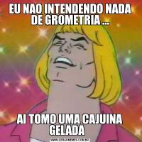 EU NAO INTENDENDO NADA DE GROMETRIA ...AI TOMO UMA CAJUINA GELADA   