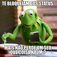 TE BLOQUEIAM DOS STATUS MAIS NÃO PERDE UM SEU, QUE COISA NAUM ?