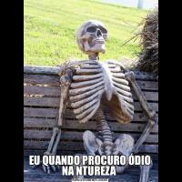 EU QUANDO PROCURO ÓDIO NA NTUREZA 