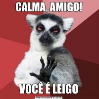 CALMA, AMIGO!VOCÊ É LEIGO