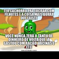TER CACHORRO PRA LUCRAR COM FILHOTES É A COISA MAIS BURRA QUE EXISTEVOCÊ NUNCA TERÁ O TANTO DE DINHEIRO DE VOLTA QUE JÁ GASTOU COM RAÇÃO, VACINAS E ETC