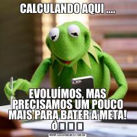CALCULANDO AQUI ....EVOLUÍMOS, MAS PRECISAMOS UM POUCO MAIS PARA BATER A META! 
