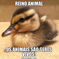 REINO ANIMALOS ANIMAIS SÃO SERES VIVOS!