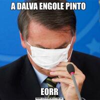 A DALVA ENGOLE PINTO EORR